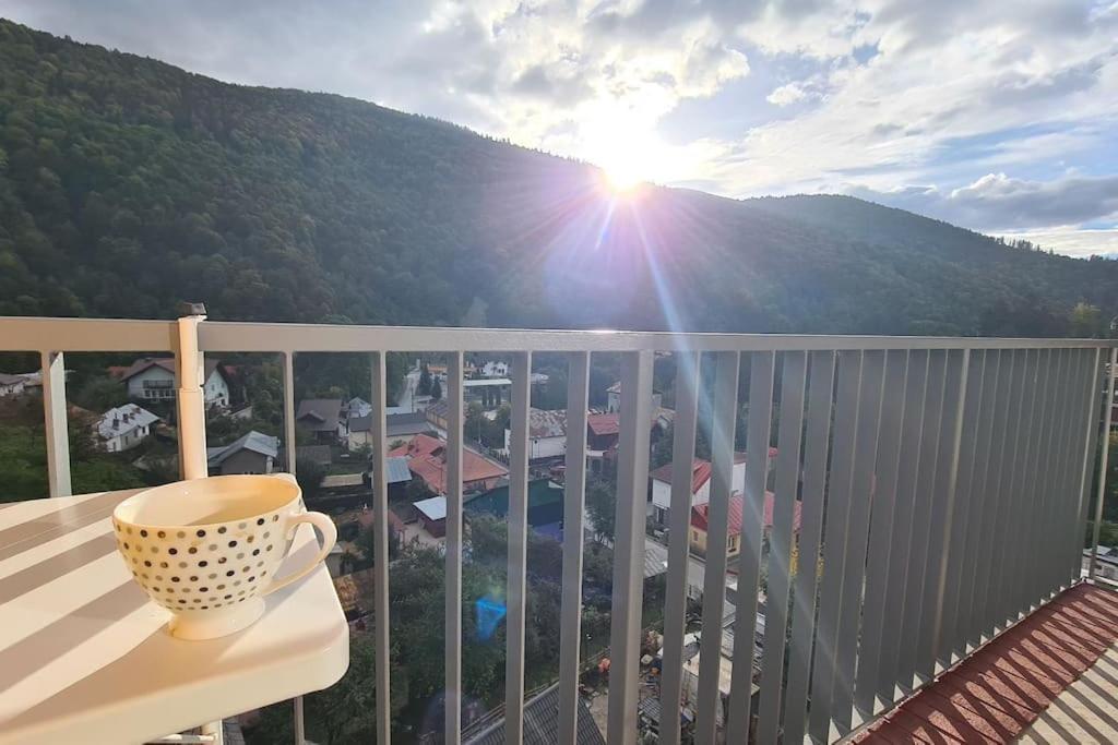 Apartament Vis De Sinaia ! エクステリア 写真
