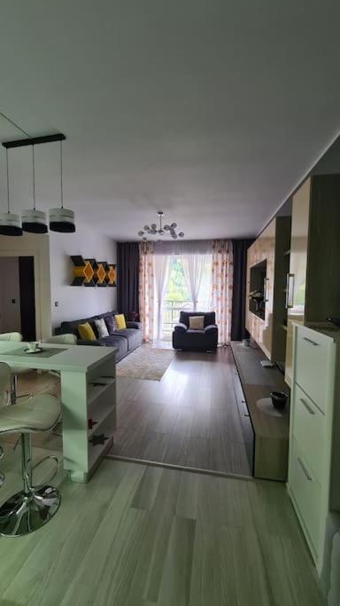 Apartament Vis De Sinaia ! エクステリア 写真