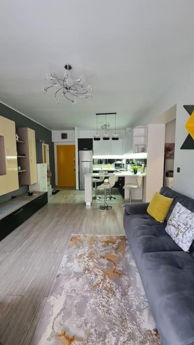 Apartament Vis De Sinaia ! エクステリア 写真