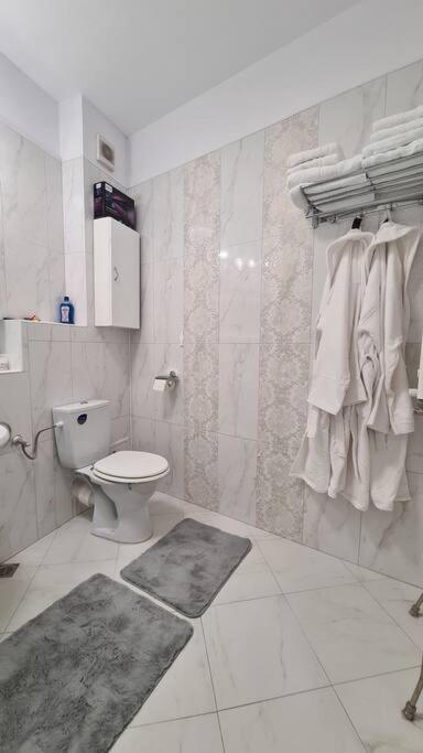 Apartament Vis De Sinaia ! エクステリア 写真